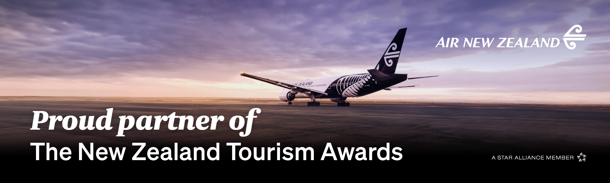 J018379 Web 600x2000 aircraft NZTA